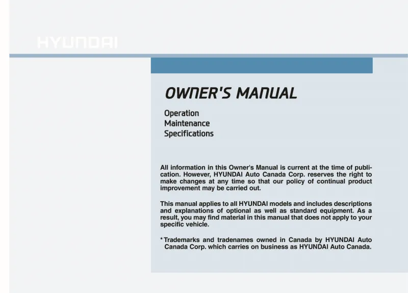 2020 Hyundai Veloster owners manual